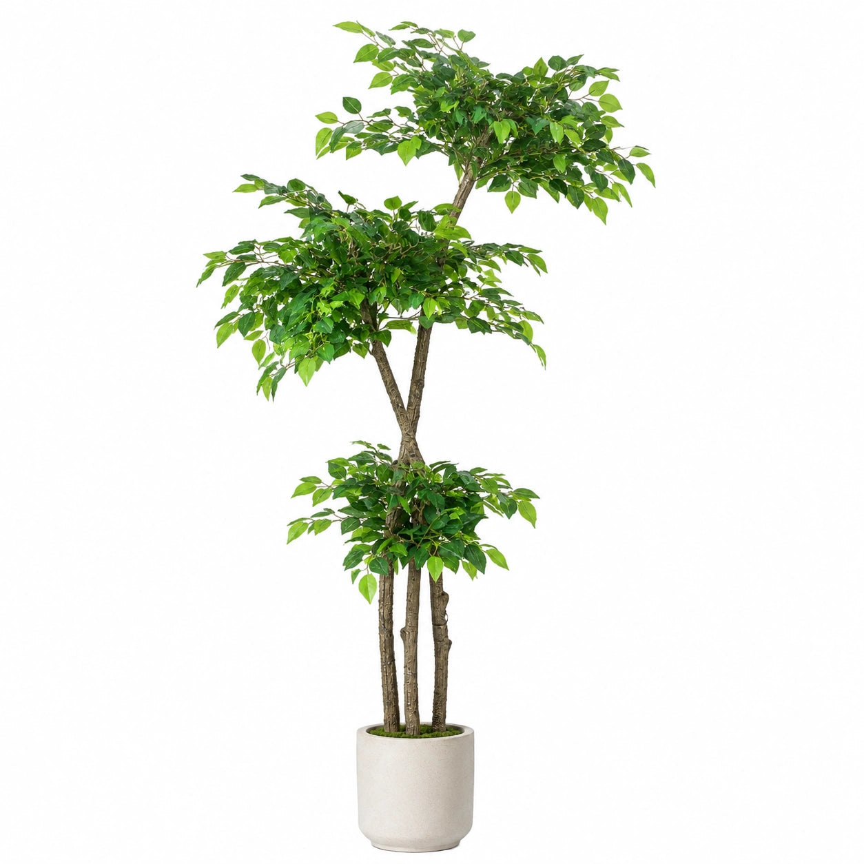 Kunstbaum Ficus Benjamina 180cm Grün mit Keramiktopf