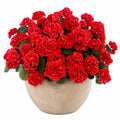 Künstliche Begonien im Keramiktopf, Rot