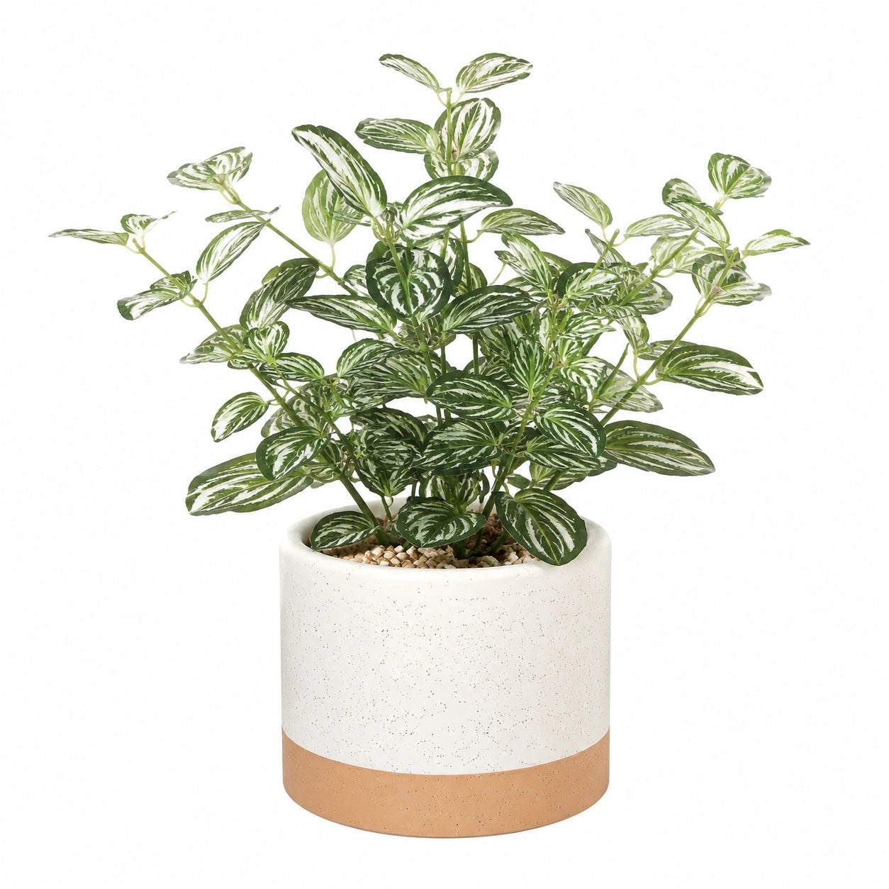 Künstliche Topfpflanze Grün/Weiß mit Keramiktopf 35 cm